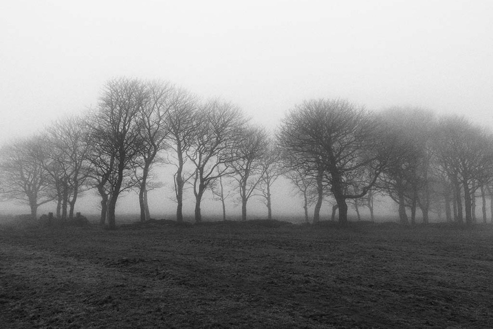 Remains of Brown Wardle Farm in the fog